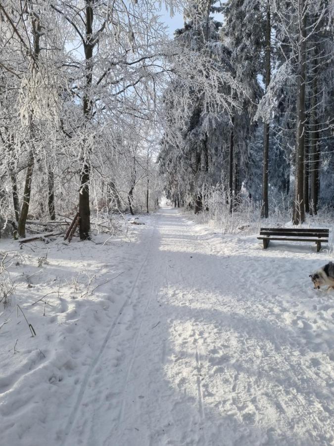 Ferienwohnung Schanzenblick Winterberg Extérieur photo